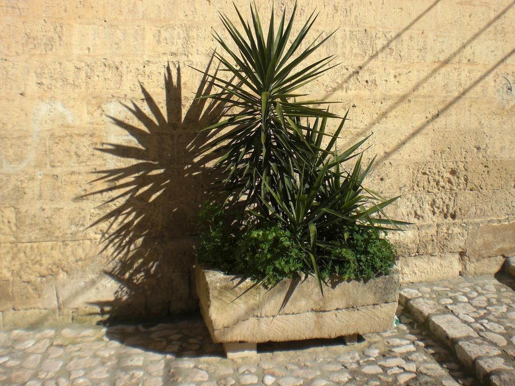 מטרה Casa Vacanza "Nel Cuore Dei Sassi" Apartments מראה חיצוני תמונה
